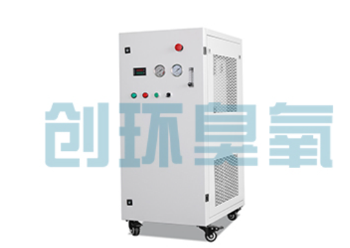 镇江石斑鱼养殖水质调控完整指南:臭氧发生器配置与操作步骤