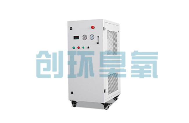 镇江比传统换水更高效?臭氧发生器在石斑鱼养殖中的水质净化原理解析